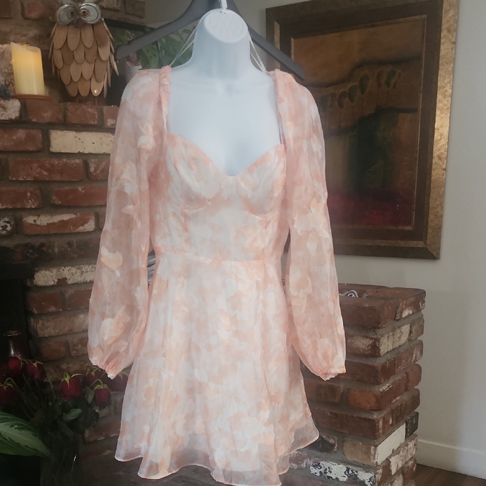 Lulus Bustier Pink Floral Organza Bustier Mini Dress Romantic Fairycore